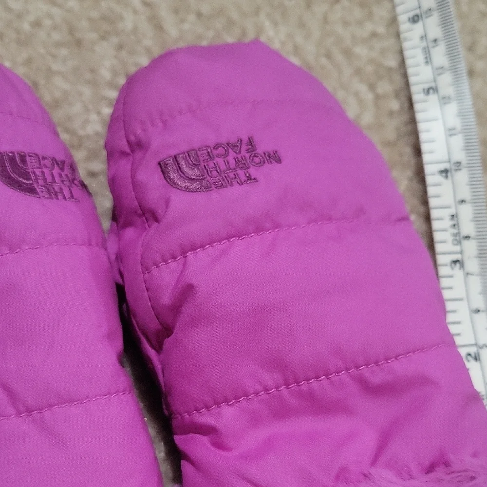 Free With Any Other Item! The North Face Pink and Red Bear Mittens